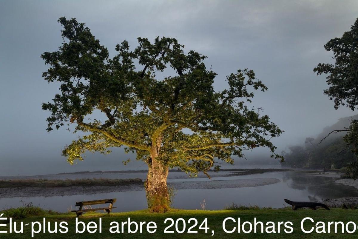 Ty Glazu Doelan Espace 60M2, Port& Criques A Pied, 2 Chambres Privees Au 1Er Etage, Sdb, Wc Separe Clohars-Carnoët エクステリア 写真
